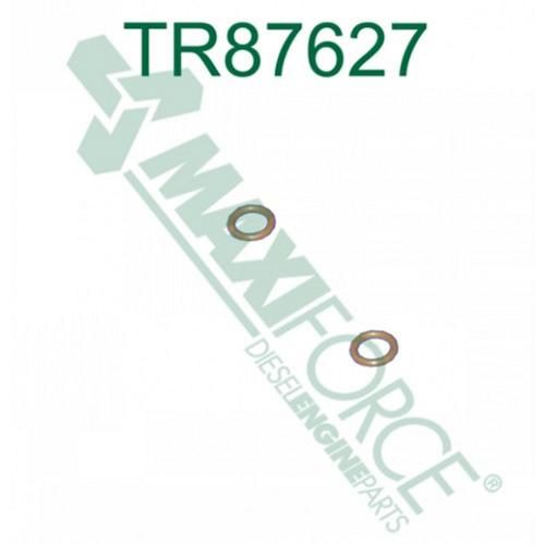 Valve Seal