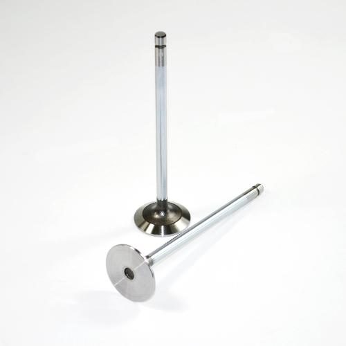 Intake Valve