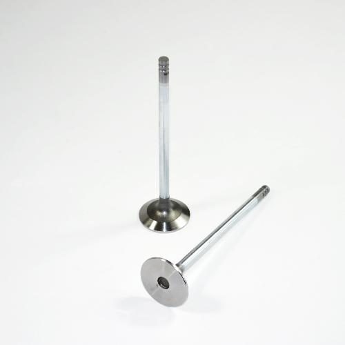 Intake Valve