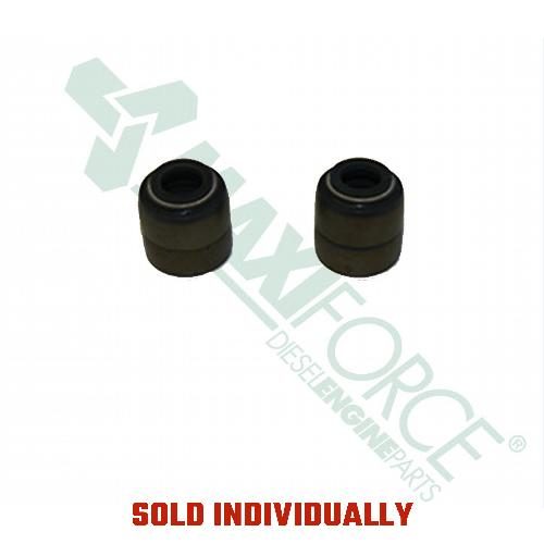hctt110650_1_xl.jpg Exhaust Valve Seal