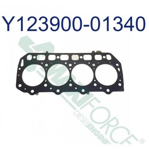 Head Gasket