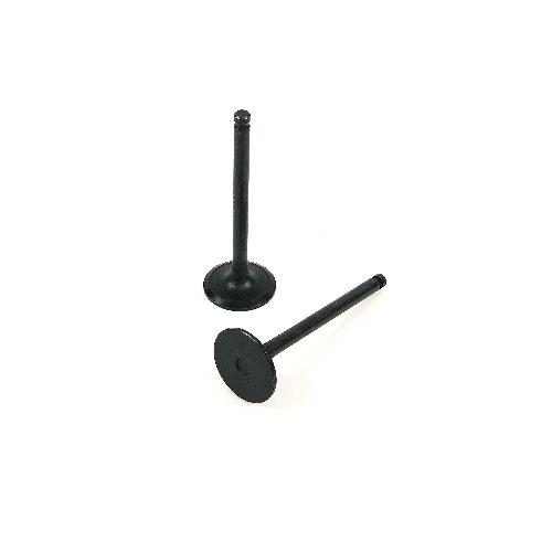 Intake Valve