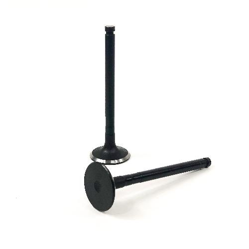 Exhaust Valve