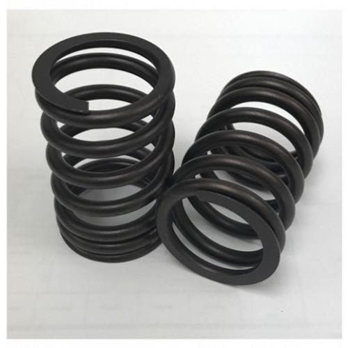Valve Spring