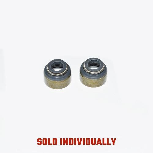 Intake Valve Seal