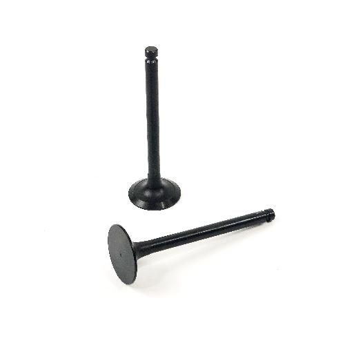 Intake Valve