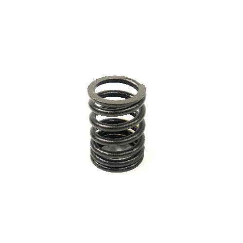 Valve Spring