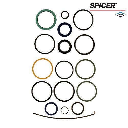 hf84158179_1_xl.jpg Dana/Spicer Steering Cylinder Seal Kit, MFD, Original & Updated