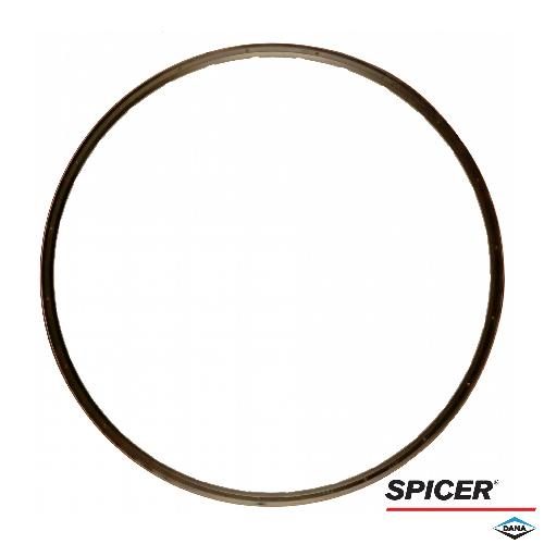 hf87588837_1_xl.jpg Dana/Spicer Hub V-Ring, MFD, 10 Bolt Hub