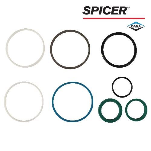 hf87674622_1_xl.jpg Dana/Spicer Steering Cylinder Seal Kit, MFD