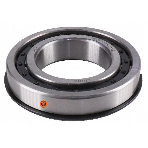 IPTO Roller Bearing