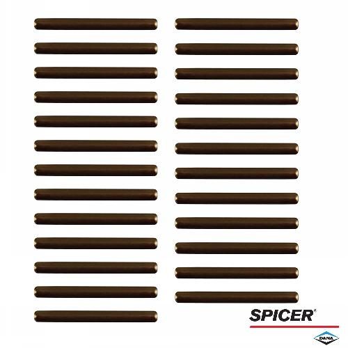 hh78831_1_xl.jpg Dana/Spicer Needle Roller, MFD (Pkg. of 25), 12 Bolt Hub