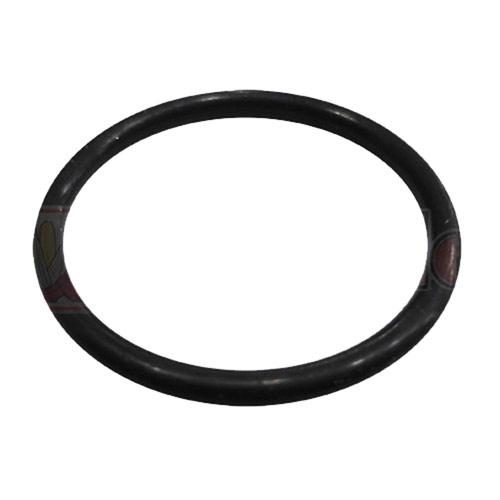 Rear O-Ring