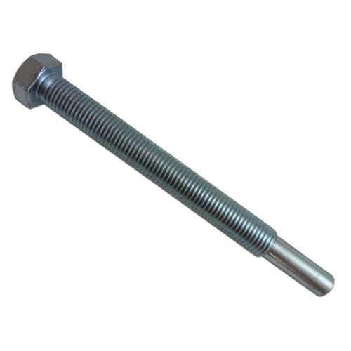 Adjusting Bolt
