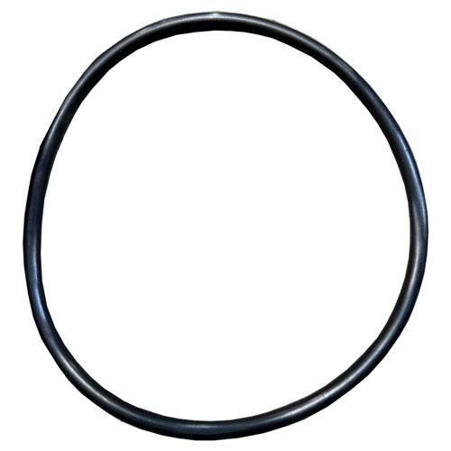 Housing O-Ring