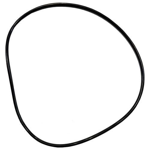 Housing O-ring