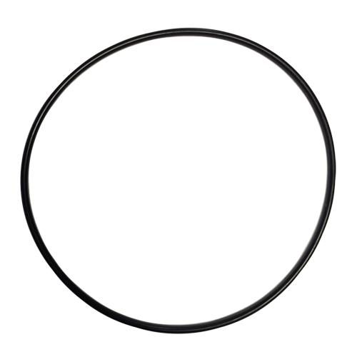 Rotor Plate O-Ring - 2nd Generation Only